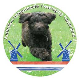 labradoodle alanl
